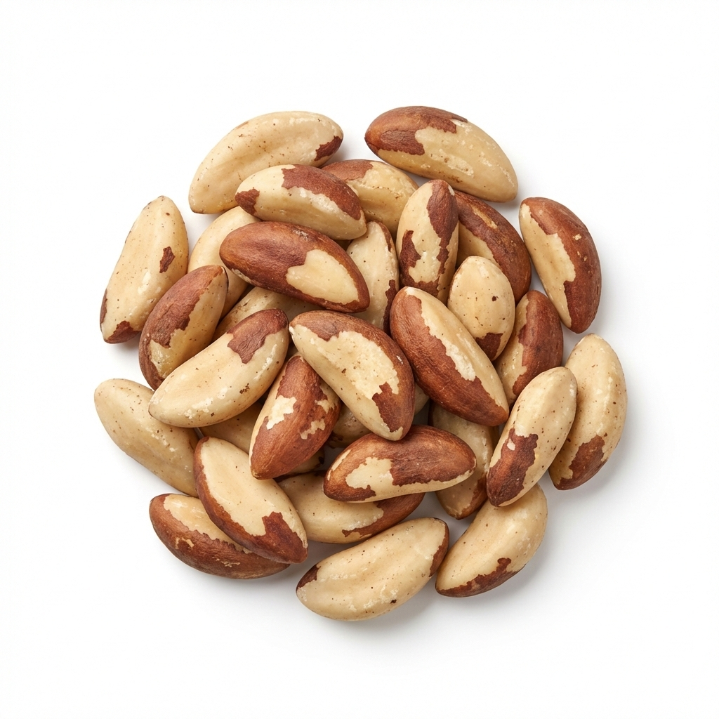 Castanha do Pará Média