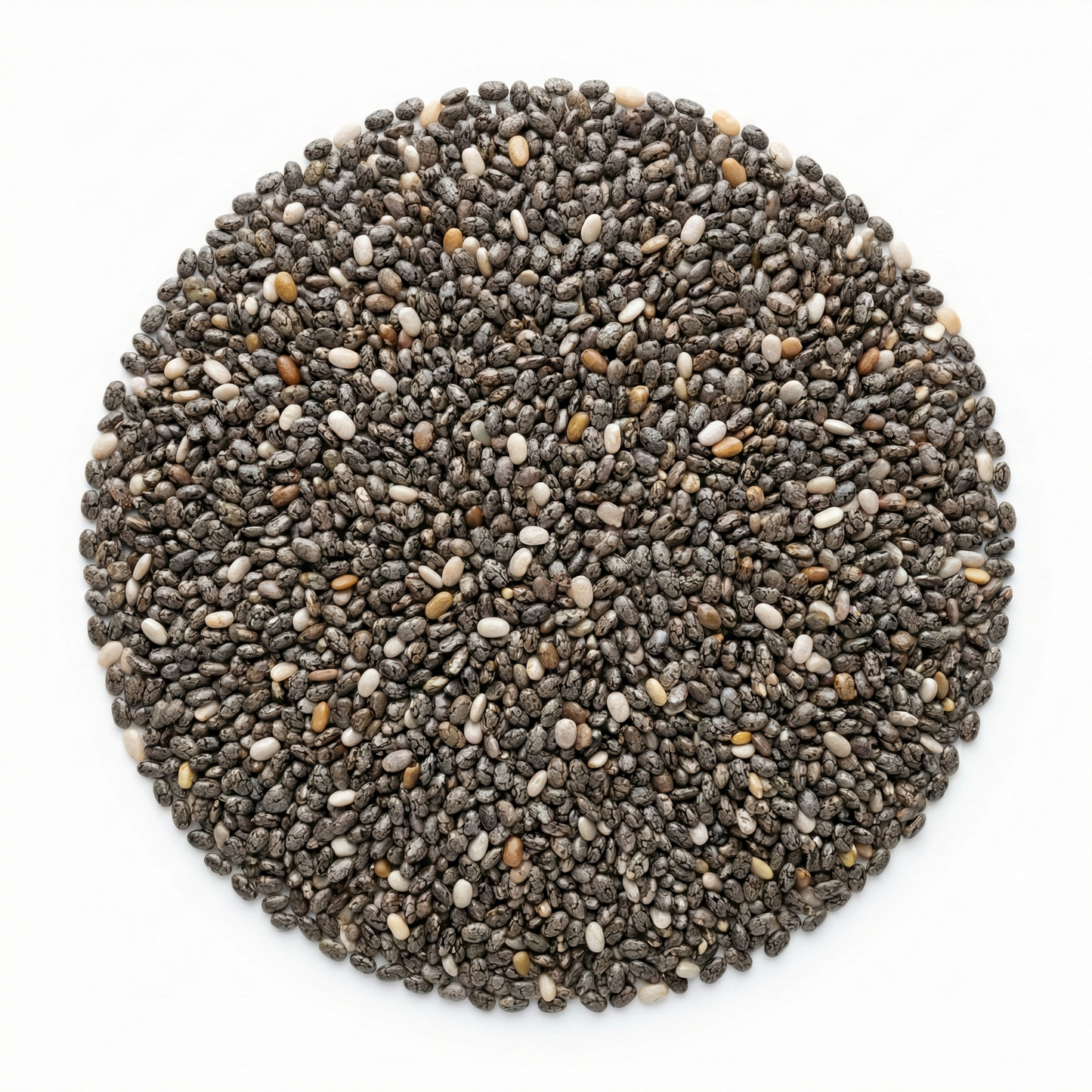 Semente de Chia Premium